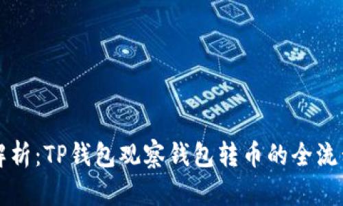 深入解析：TP钱包观察钱包转币的全流程指南