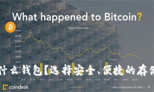 比特币存什么钱包？选择安全、便捷的存储方式指导