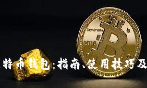 深入了解比特币钱包：指南、使用技巧及安全性分析