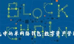 探索TP钱包中的单网络钱包