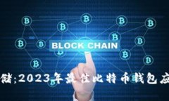 完美存储：2023年最佳比特