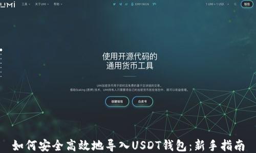 
如何安全高效地导入USDT钱包：新手指南