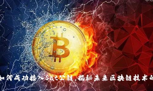 TP钱包如何成功接入Sat公链，揭秘未来区块链技术的新趋势