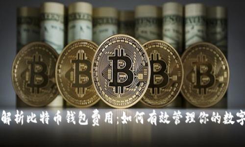 深入解析比特币钱包费用：如何有效管理你的数字资产