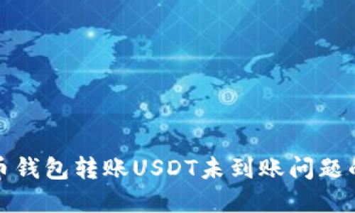 : 解决货币钱包转账USDT未到账问题的终极指南