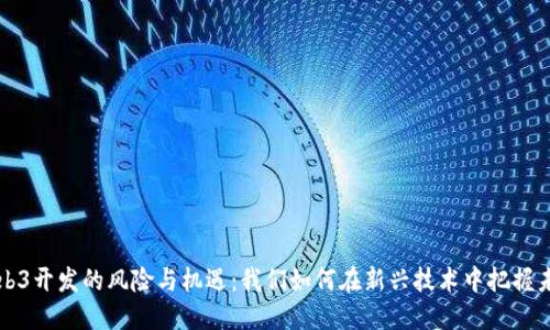 Web3开发的风险与机遇：我们如何在新兴技术中把握未来