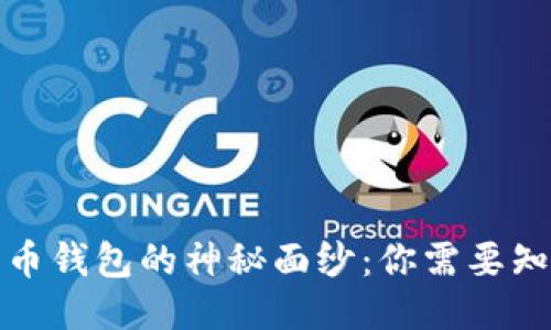 揭开比特币钱包的神秘面纱：你需要知道的一切