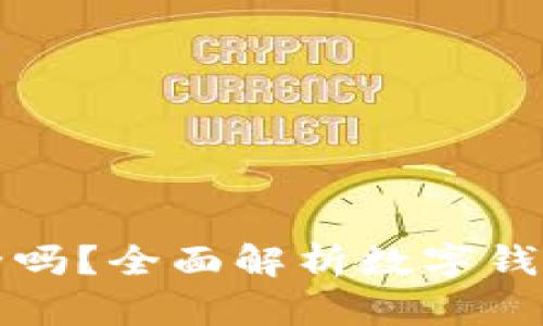 钱放在TP钱包安全吗？全面解析数字钱包的安全性与风险