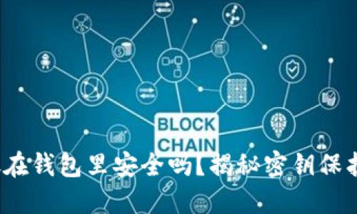  比特币放在钱包里安全吗？揭秘密钥保护的重要性
