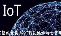 如何轻松查询USDT钱包地址