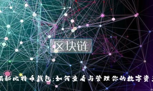 揭秘比特币钱包：如何查看与管理你的数字资产