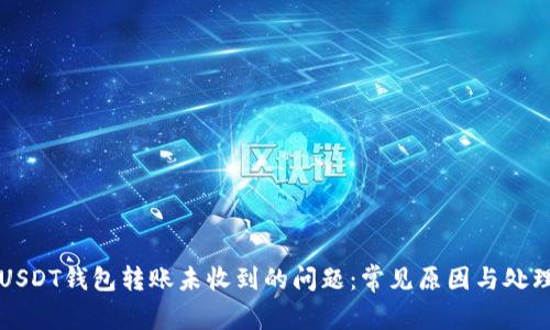 解决USDT钱包转账未收到的问题：常见原因与处理方法