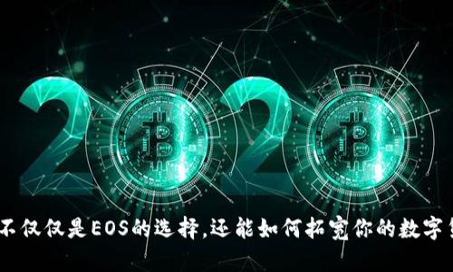 TP钱包：不仅仅是EOS的选择，还能如何拓宽你的数字货币之路