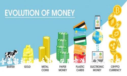 全面解析比特币钱包使用方法：从入门到精通