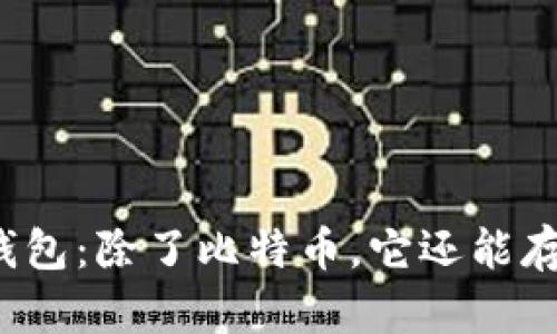 比特币钱包：除了比特币，它还能存储什么？