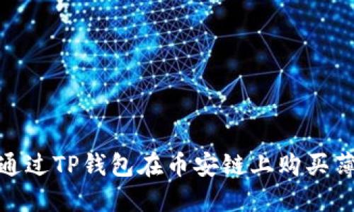  新手指南：如何通过TP钱包在币安链上购买薄饼币的视频教程