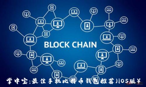   
掌中宝：最佳手机比特币钱包推荐（iOS版）