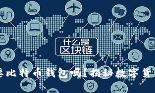 比特币一定要比特币钱包吗？揭秘数字货币存储的真相