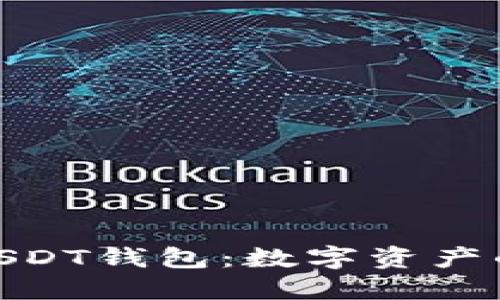 探索百万美元USDT钱包：数字资产的新机遇与风险