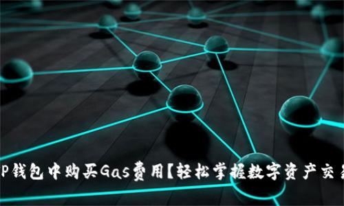 如何在TP钱包中购买Gas费用？轻松掌握数字资产交易的诀窍