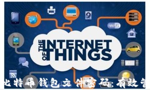 
如何保护你的比特币钱包文件密码：有效管理与安全策略