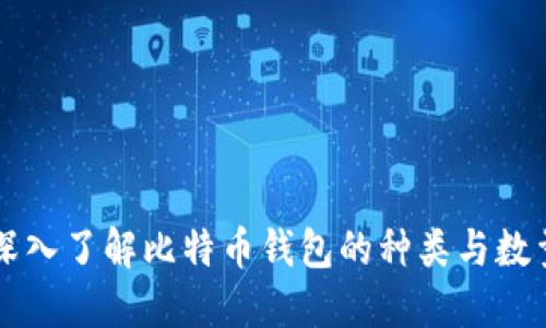 深入了解比特币钱包的种类与数量