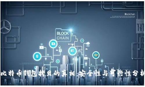 比特币钱包拷贝的真相：安全性与可行性分析