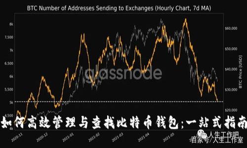 如何高效管理与查找比特币钱包：一站式指南
