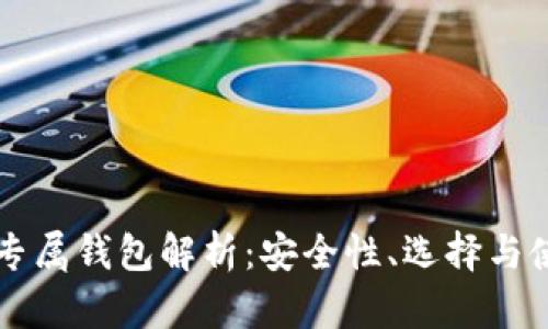 比特币专属钱包解析：安全性、选择与使用指南