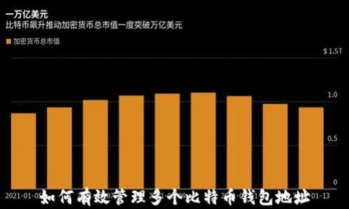 
如何有效管理多个比特币钱包地址