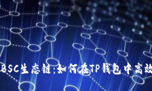 掌握BSC生态链：如何在TP钱包中高效交易