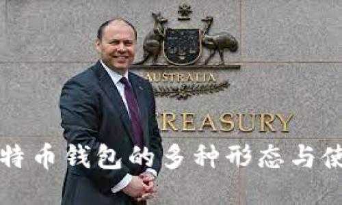 揭秘比特币钱包的多种形态与使用指南