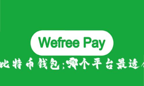 揭秘比特币钱包：哪个平台最适合你？