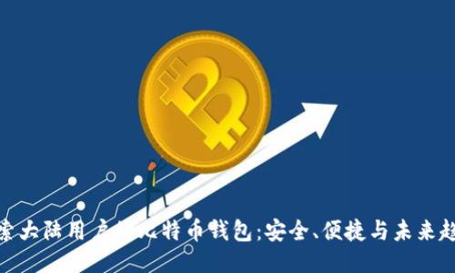 探索大陆用户的比特币钱包：安全、便捷与未来趋势