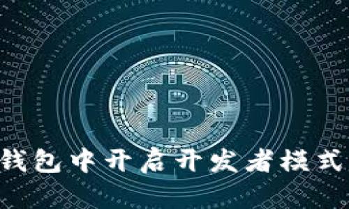 如何在TP钱包中开启开发者模式：完整指南