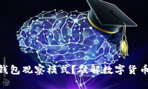 : 如何开启比特币钱包观察模式？破解数字货币的安全与隐私之道
