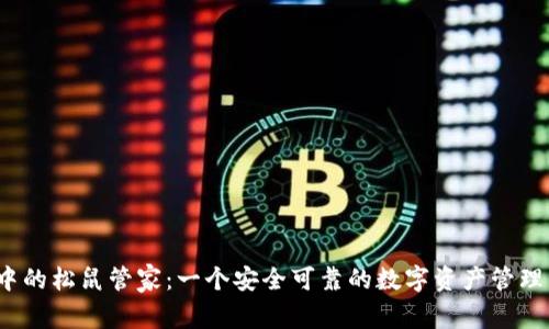 TP钱包中的松鼠管家：一个安全可靠的数字资产管理工具吗？