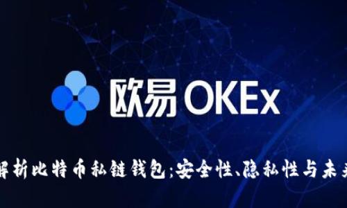 全面解析比特币私链钱包：安全性、隐私性与未来发展