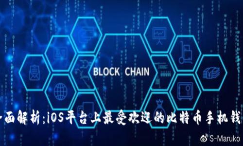 全面解析：iOS平台上最受欢迎的比特币手机钱包