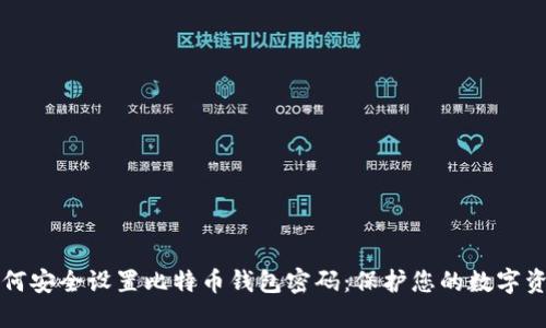 如何安全设置比特币钱包密码：保护您的数字资产