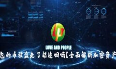 tp钱包的币被盗走了能追回