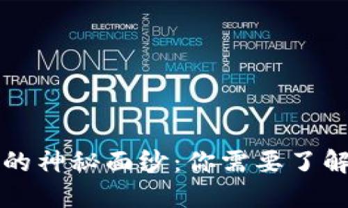 揭开比特币钱包的神秘面纱：你需要了解的几种钱包类型