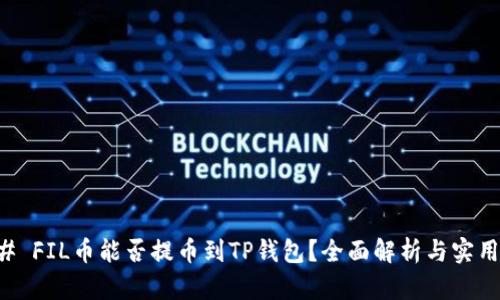 ### FIL币能否提币到TP钱包？全面解析与实用指南