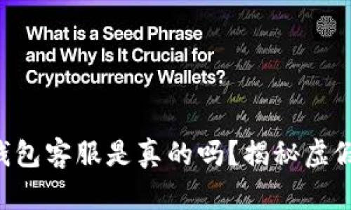 电报上的TP钱包客服是真的吗？揭秘虚假客服的真相！